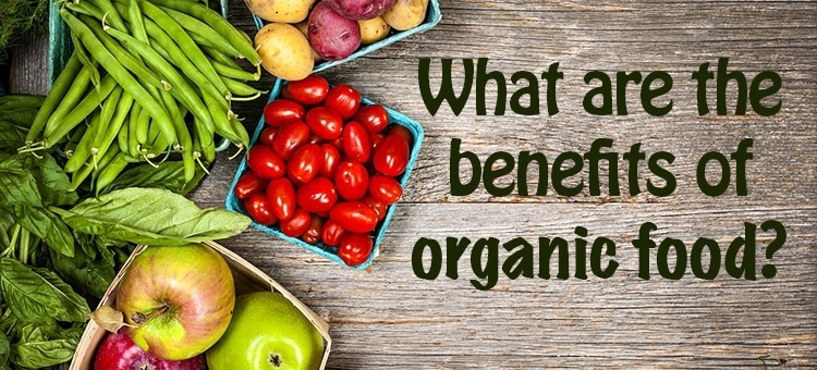 Top 15 Health Benefits of Eating Organic Food - Yogi Arjun